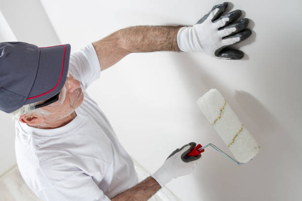 Best Attic Mold Removal  in Shawnee Hills, OH
