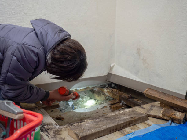 Best Mold Remediation for Rental Properties  in Shawnee Hills, OH
