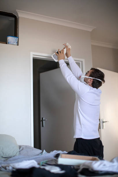 Reliable Shawnee Hills, OH Mold Removal Solutions