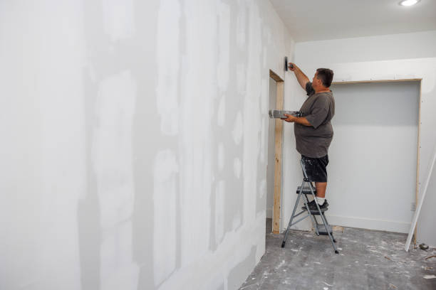 Best Crawl Space Mold Remediation  in Shawnee Hills, OH