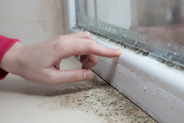 Dehumidification Services in Shawnee Hills, OH