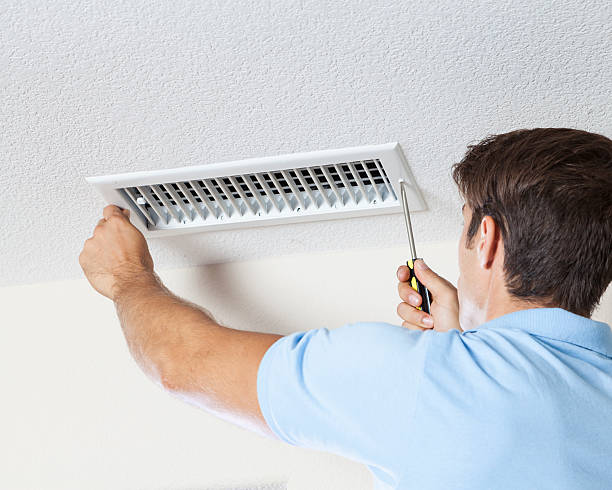 Best Basement Mold Removal  in Shawnee Hills, OH